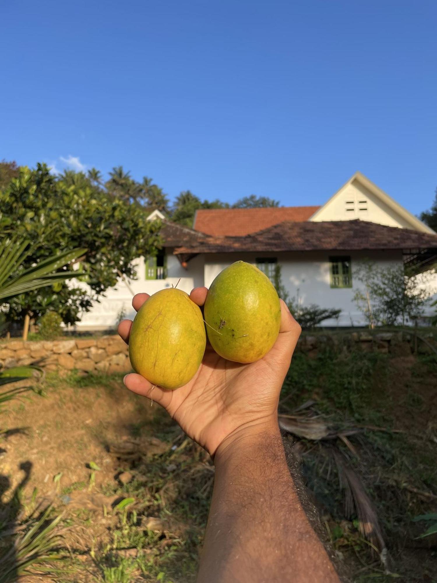 Calm Shack - 2 Bedroom-Boutique Farm Stay Munnar Eksteriør billede