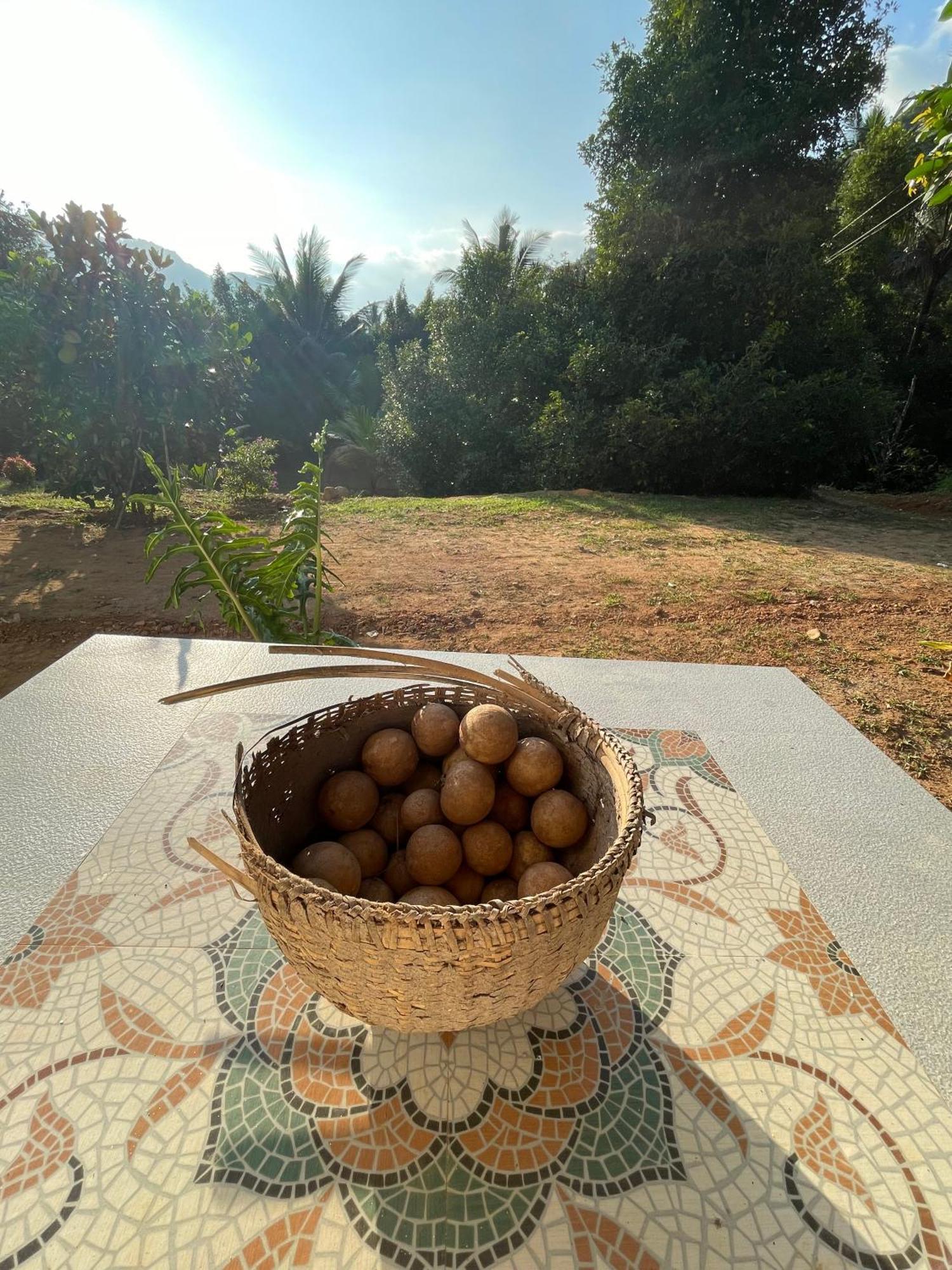 Calm Shack - 2 Bedroom-Boutique Farm Stay Munnar Eksteriør billede