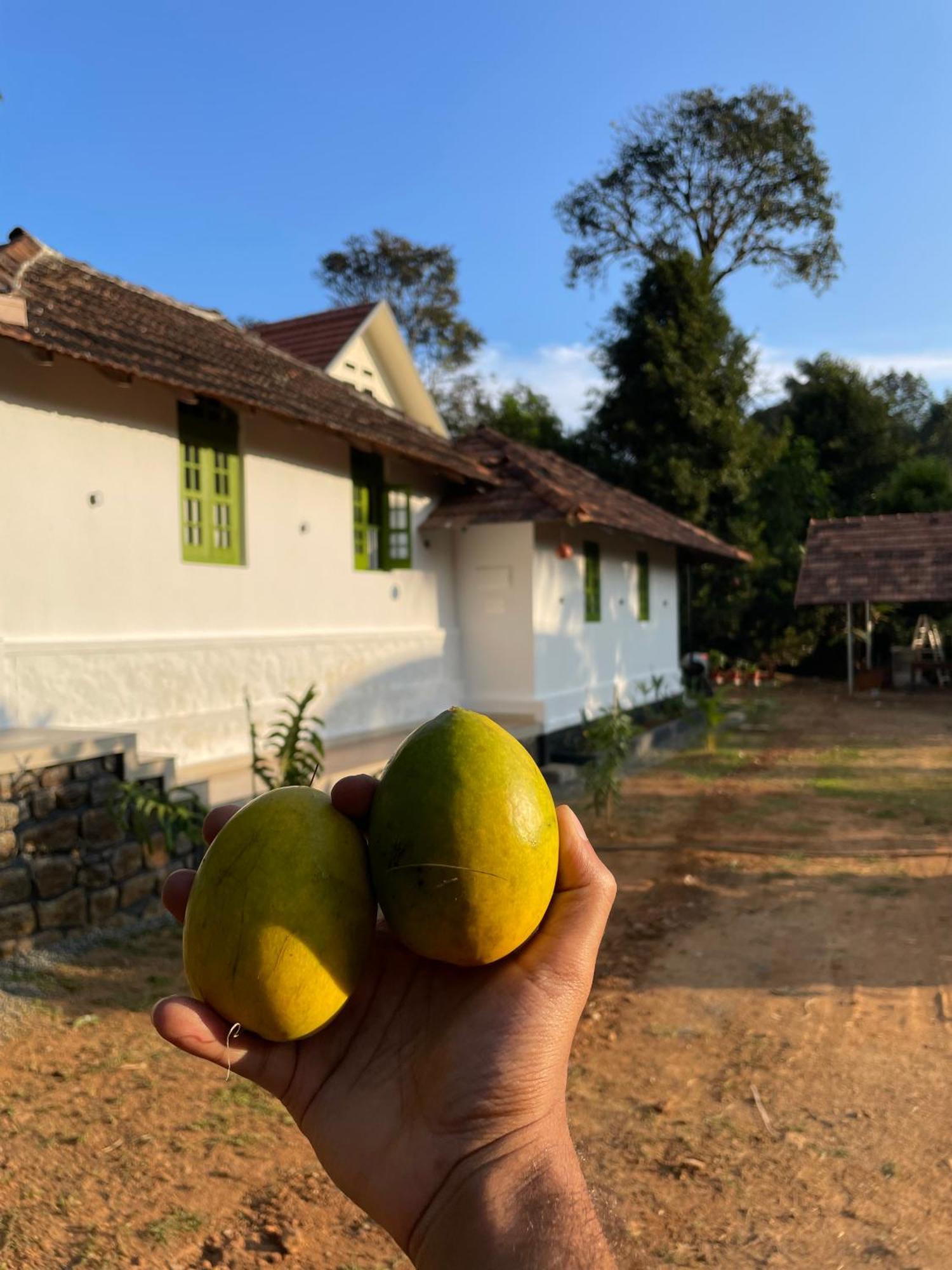 Calm Shack - 2 Bedroom-Boutique Farm Stay Munnar Eksteriør billede
