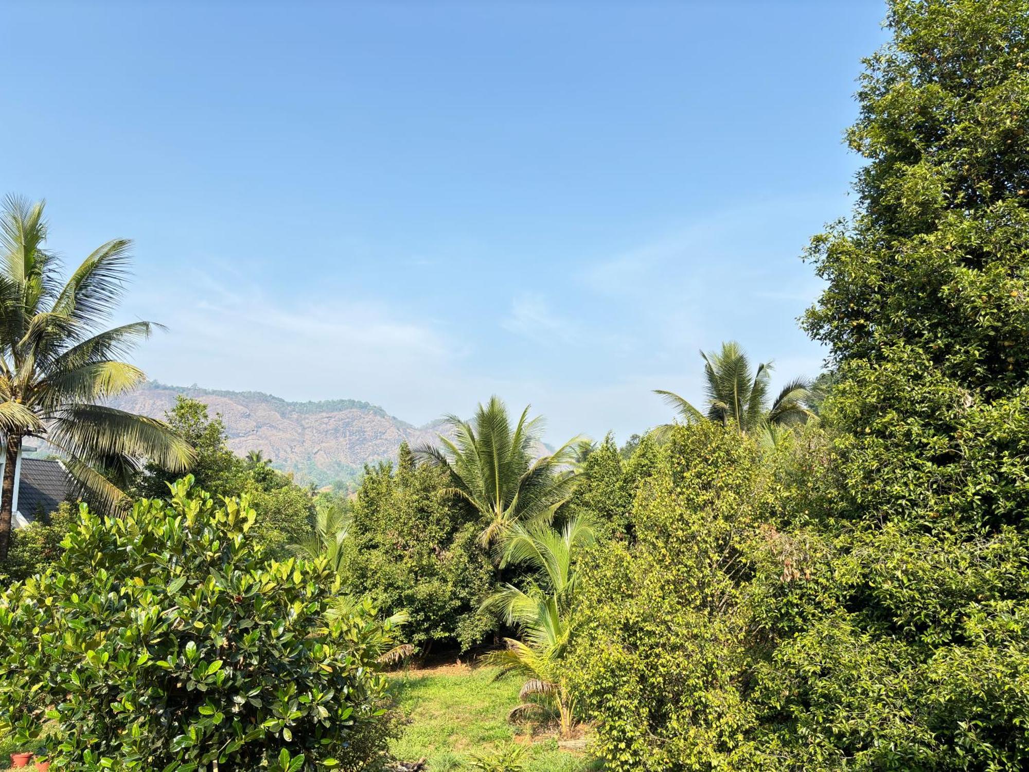 Calm Shack - 2 Bedroom-Boutique Farm Stay Munnar Eksteriør billede