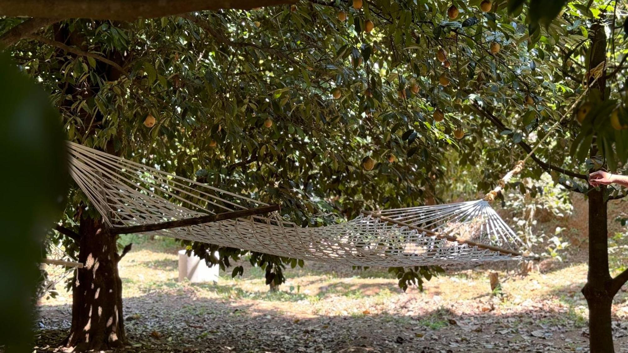 Calm Shack - 2 Bedroom-Boutique Farm Stay Munnar Eksteriør billede